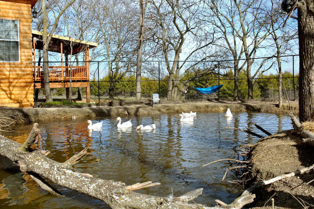 Cabanas en Dallas Tx 3 Cabañas en Dallas Tx-3