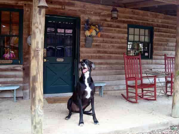 Cabina Moondance Cabanas que Admiten Mascotas en Cabina Moondance-Cabañas que Admiten Mascotas en Texas