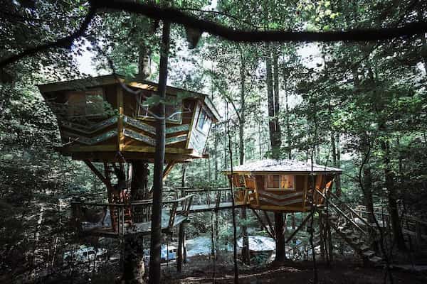 El espejo Casas en el Arbol en Kentucky La casa del árbol de cristal-Casas en el Árbol en Kentucky