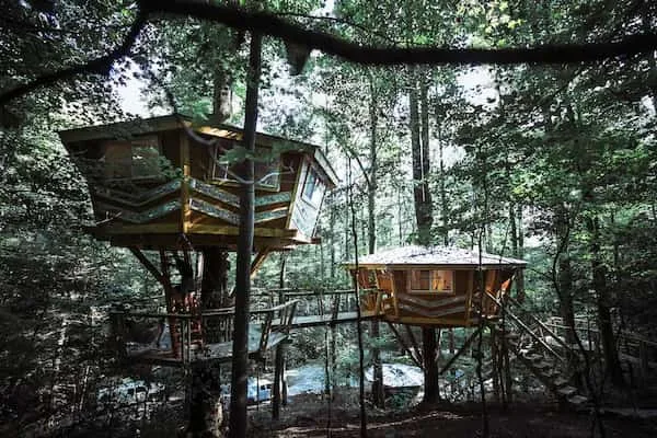 El espejo Casas en el Arbol en Kentucky La casa del árbol de cristal-Casas en el Árbol en Kentucky