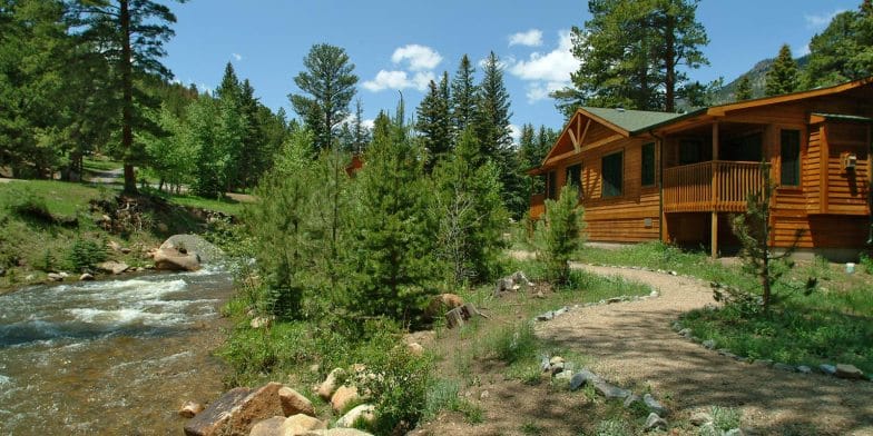 image 9 Los árboles de hoja perenne en Fall River - Estes Park